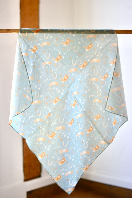 Yeehaw Wildrag: Western Scarf Bandana Silk Tencel Wildrag