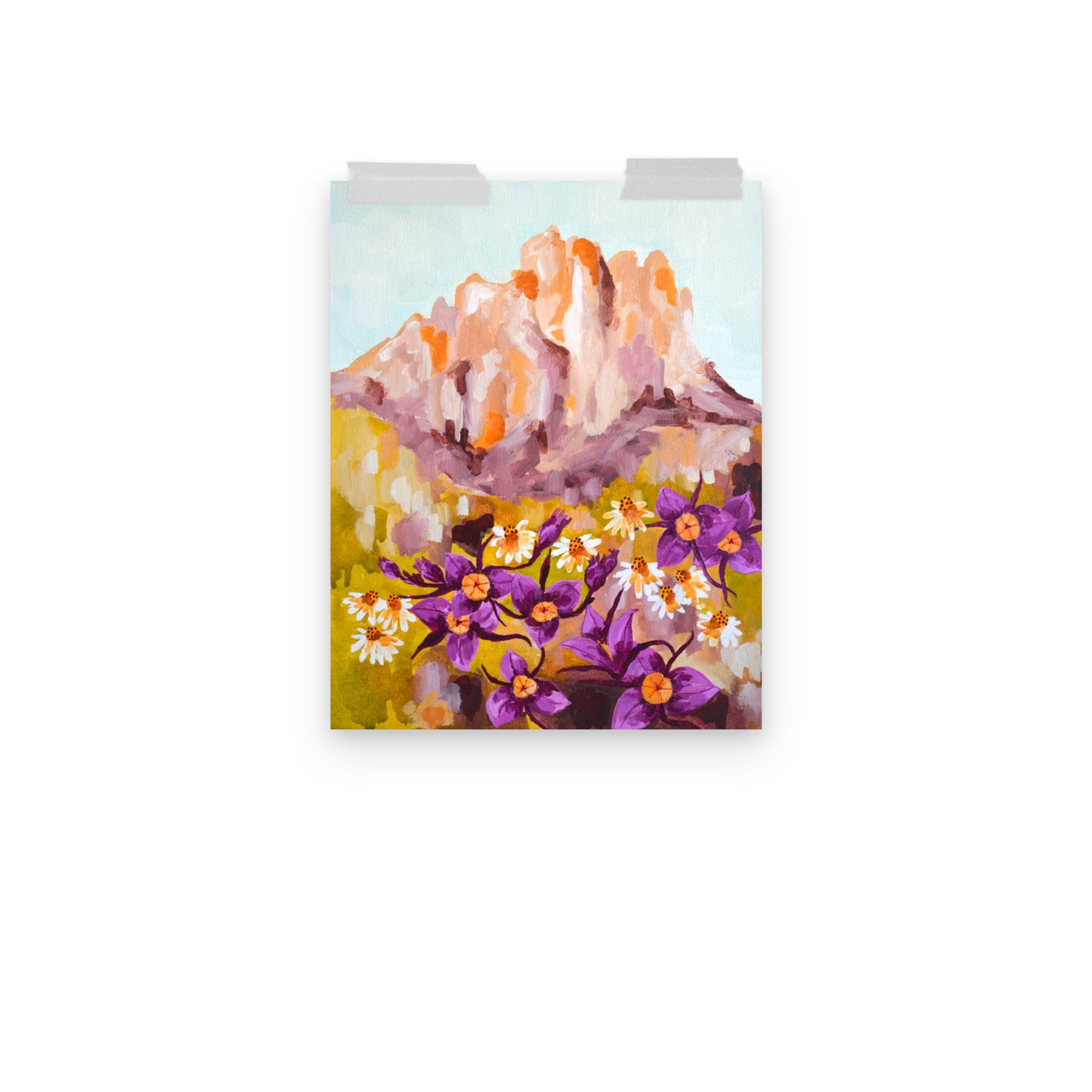 Oregon Smith Rock and Mariposa Lily Wildflowers