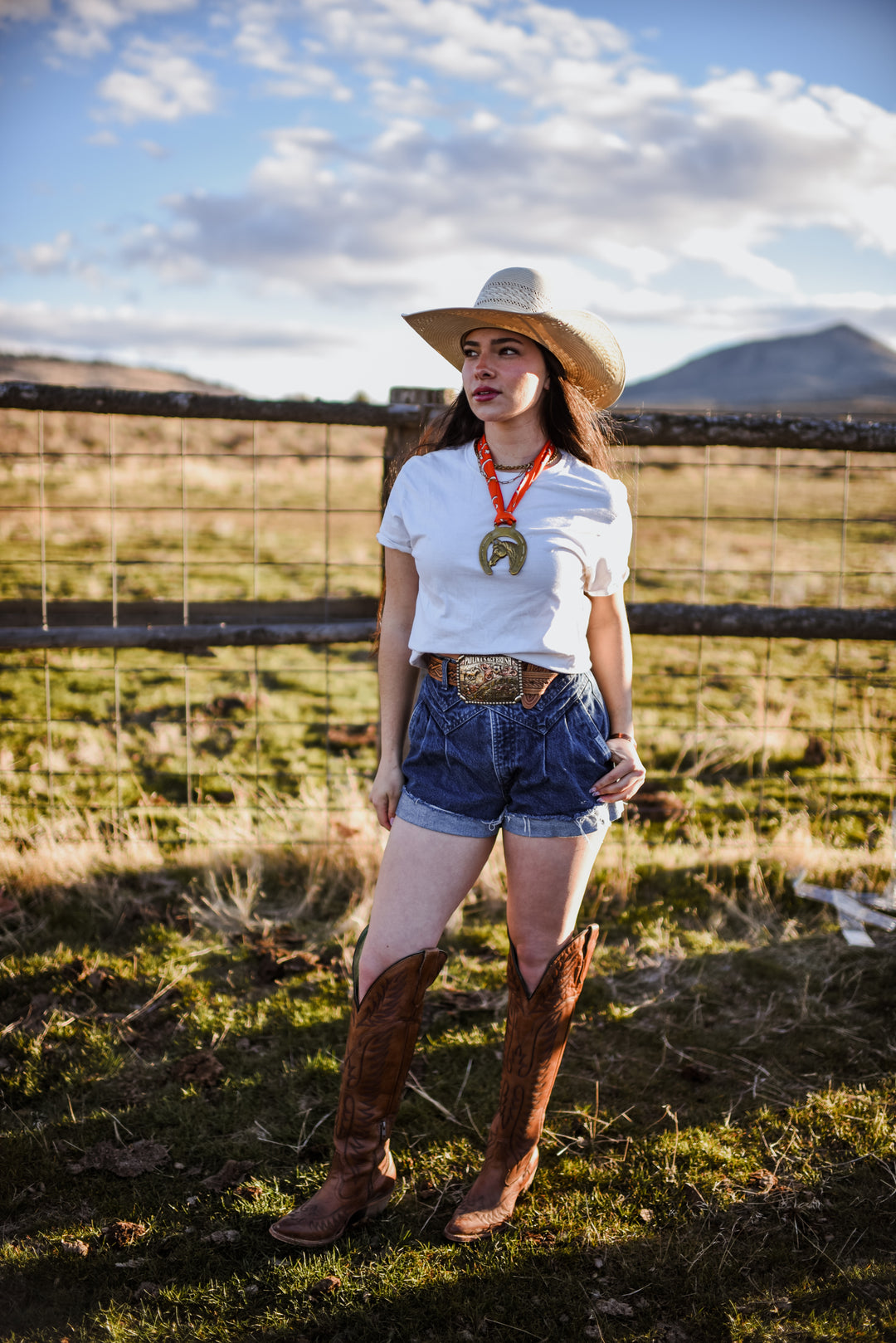 Vintage Horseshoe Brass Medallion Twilly Scarf Accessory