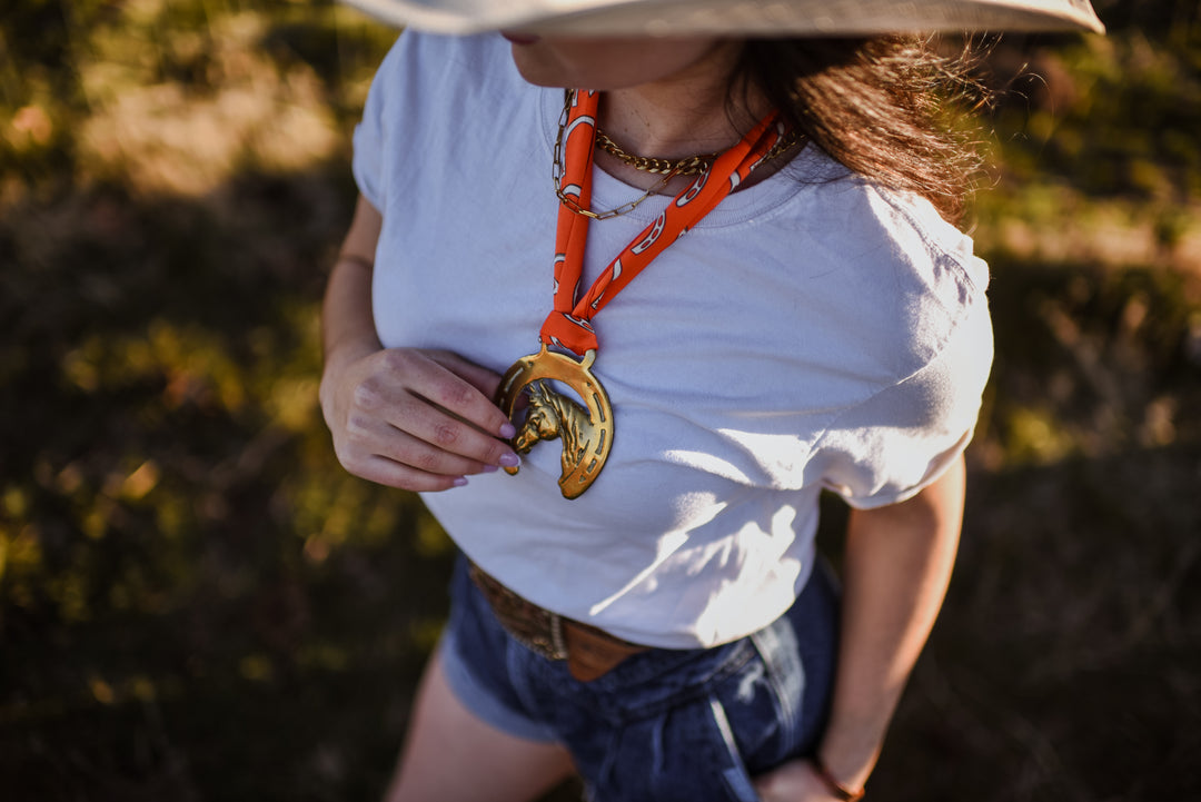 Vintage Horseshoe Brass Medallion Twilly Scarf Accessory