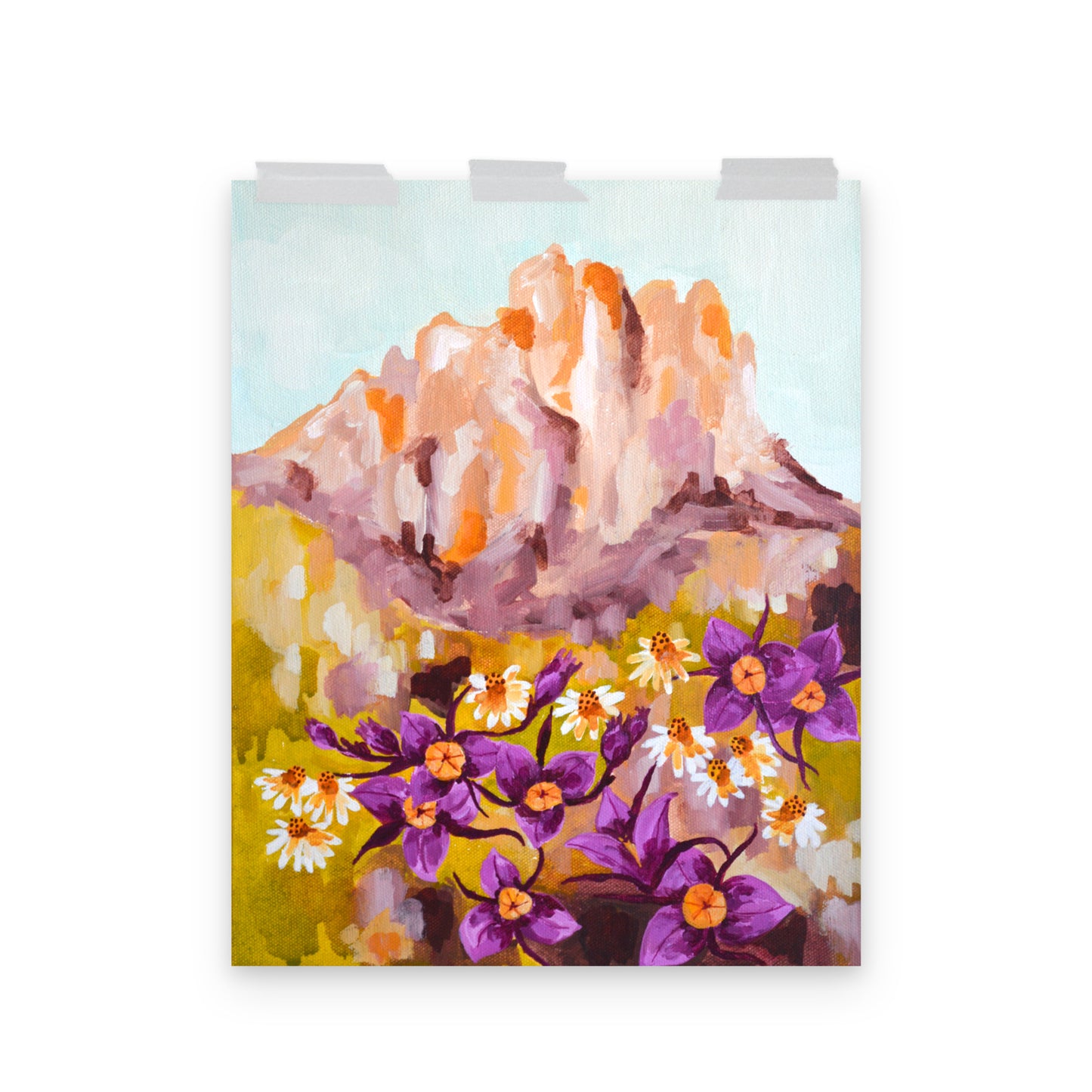 Oregon Smith Rock and Mariposa Lily Wildflowers